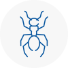 Ant Removals In Ampthill