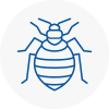 Bed Bug Extermination In Ampthill