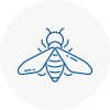 Bee Nest Removal Ampthill