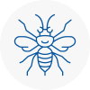 Ampthill Hornet Nest Removals
