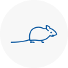 Mice Exterminators In Ampthill