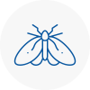 Moth Control Specialists In Ampthill