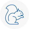 Ampthill Rodent Removals